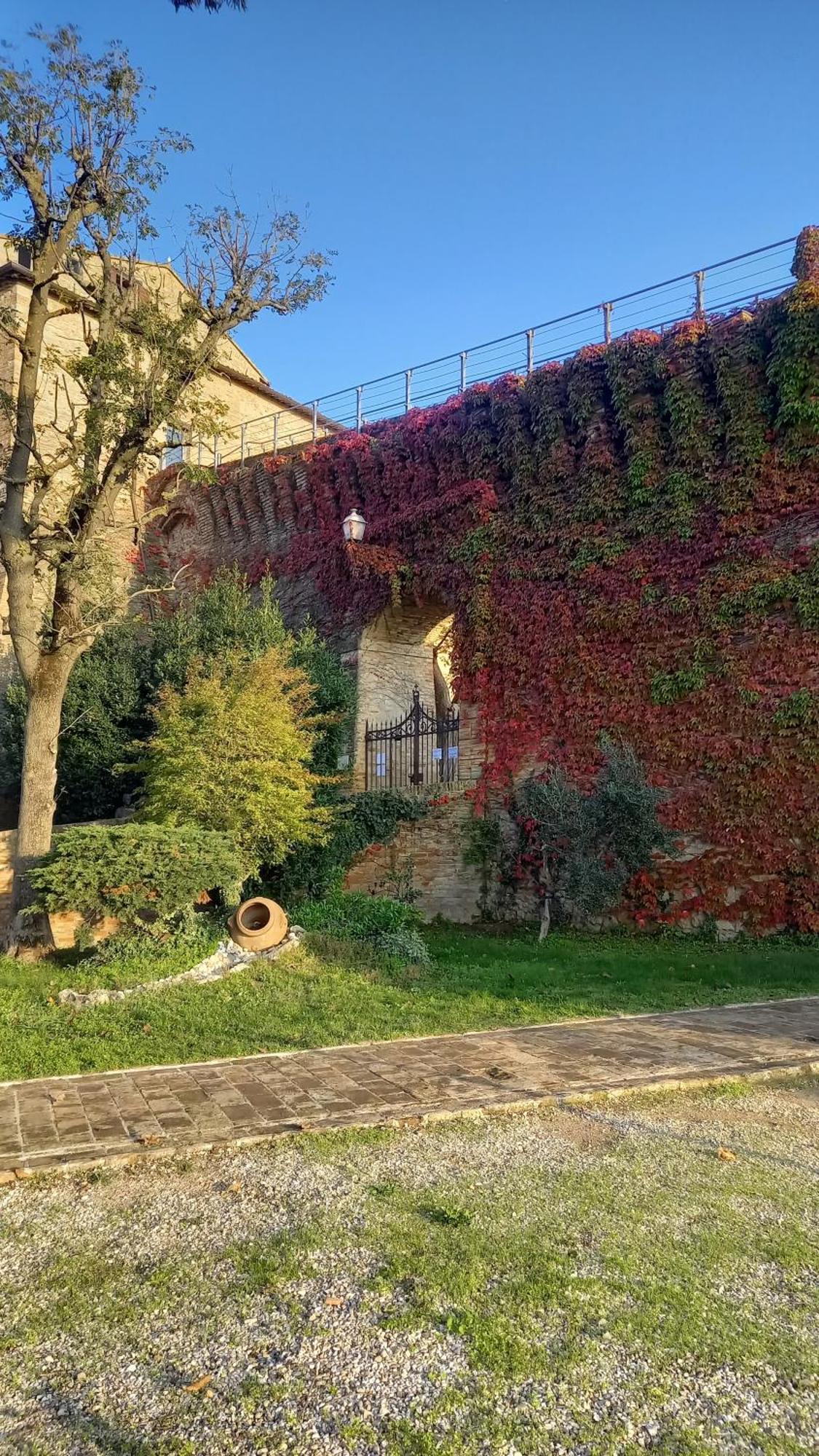 Apartament Novecento Bertinoro Zewnętrze zdjęcie